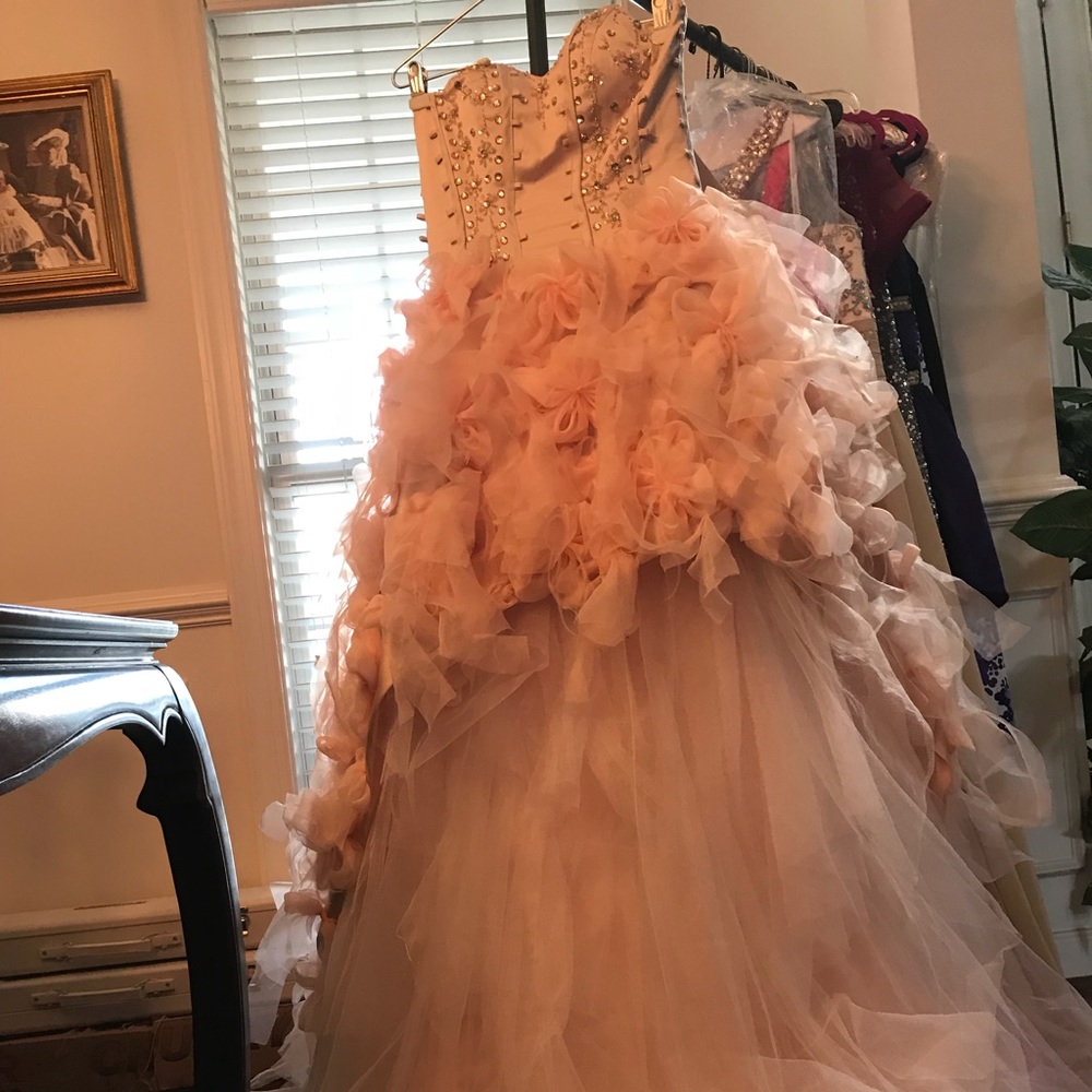 Blush pink ball gown! Gorgeous!!